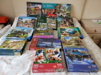 Quantity of Jigsaw puzzles