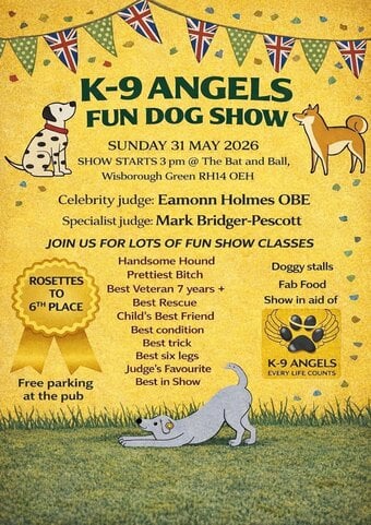 Paws at the Pub - a Fun Charity Dog Show 
