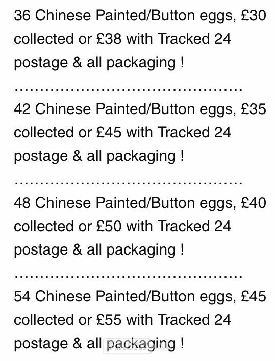 CHINESE PAINTED BUTTON QUAILS EGGS ! - Other Pets in Warminster