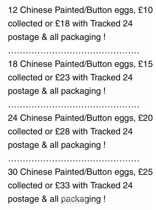 CHINESE PAINTED BUTTON QUAILS EGGS ! - Other Pets