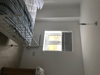 Single loft room for rent 