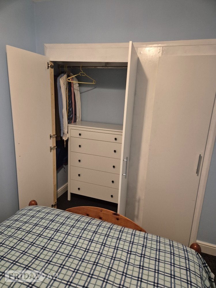 Professional male has room to let in Swindon.