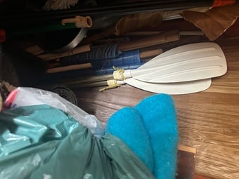 Pair of rowing oars