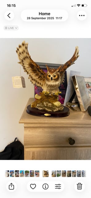cina dolls  very petty - Antiques & Collectables in Worthing