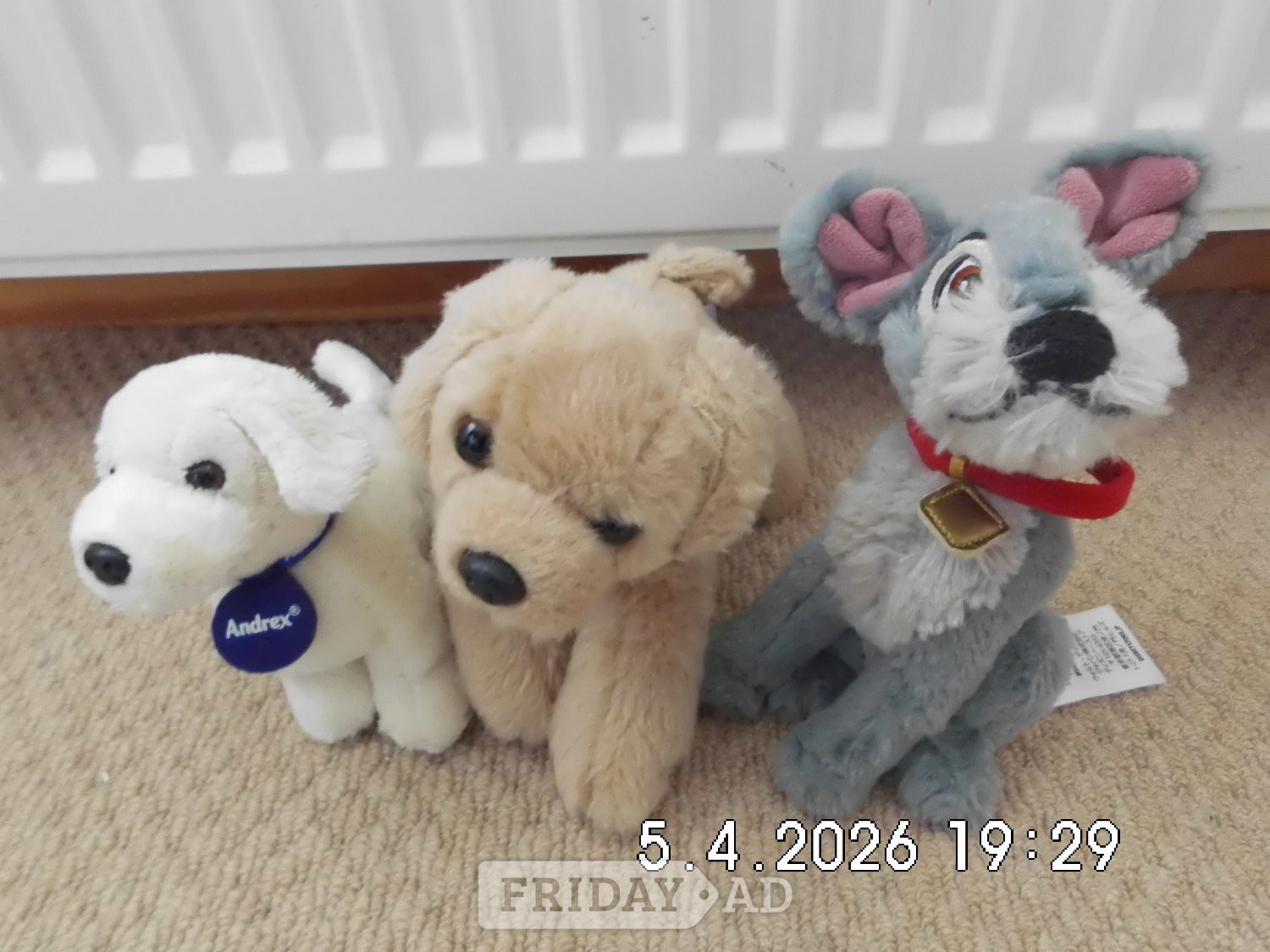 Inverurie Teddys need gone ASAP