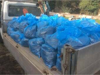 Mushroom Compost For Sale