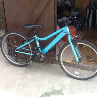 Apollo Hi-Ten Girls Bike