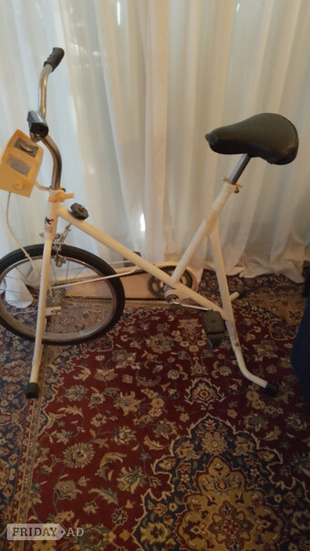 Exercise bike S100