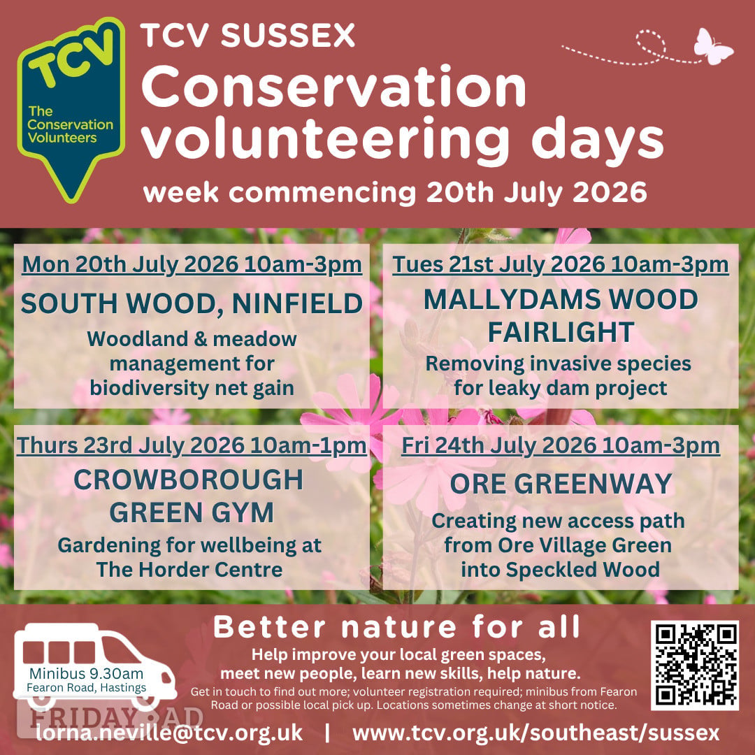 Conservation volunteering opportunities w/c 20/07/2026 in Hastings