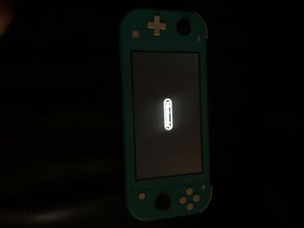 Nintendo switch lite- teal colour ( plus a ps4 controller) 