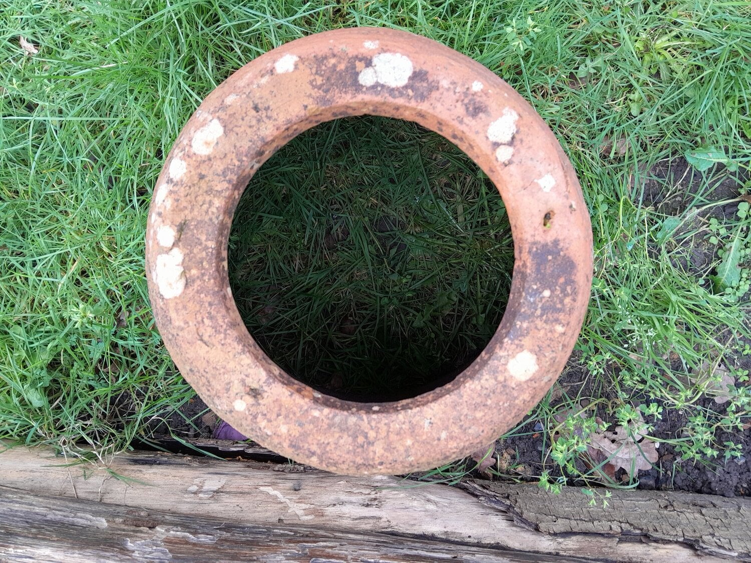 Uckfield Vintage Rhubarb Kale Forcer Terracotta Planter Cottage Garden