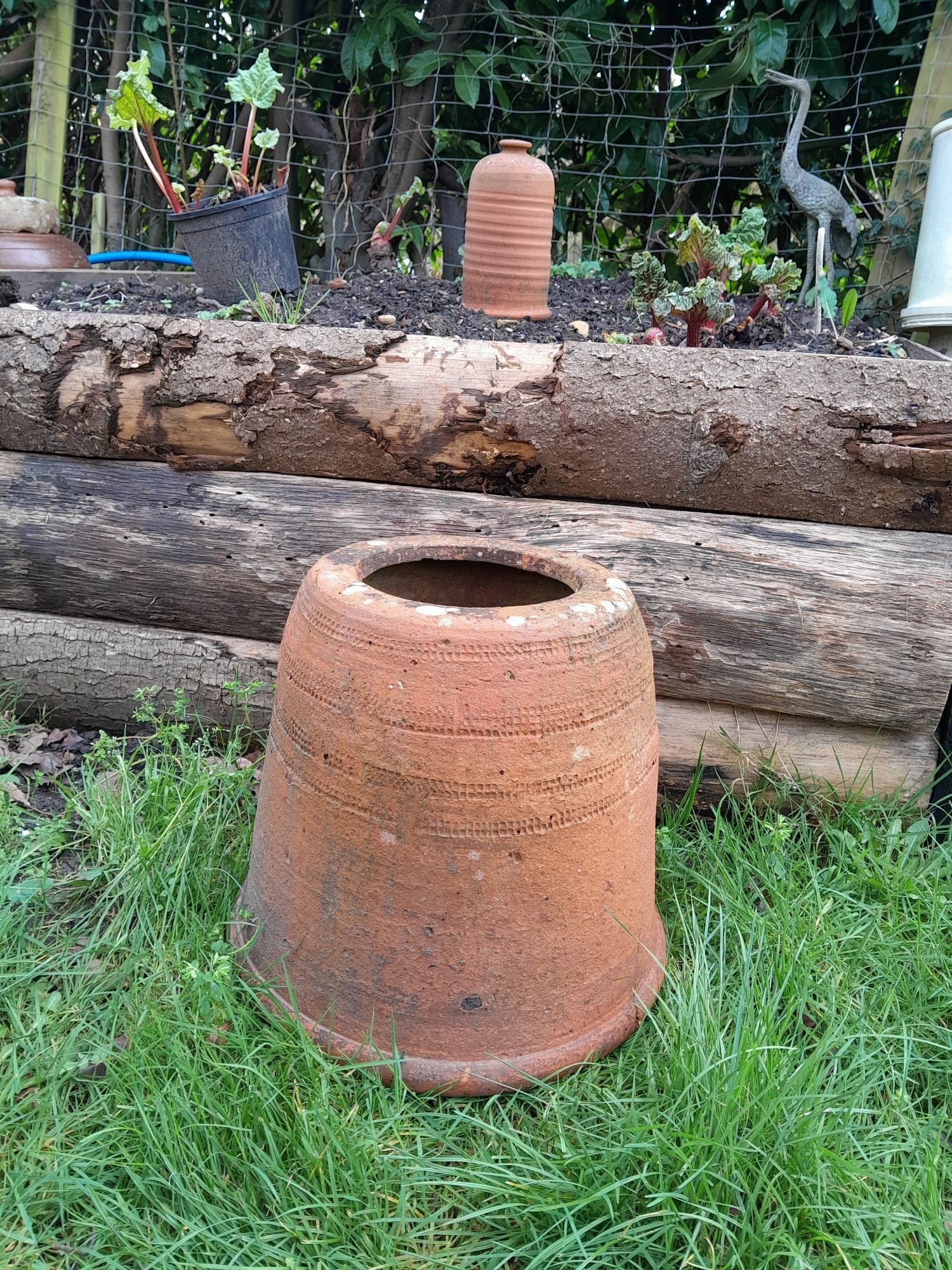 Vintage Rhubarb Kale Forcer Terracotta Planter Cottage Garden