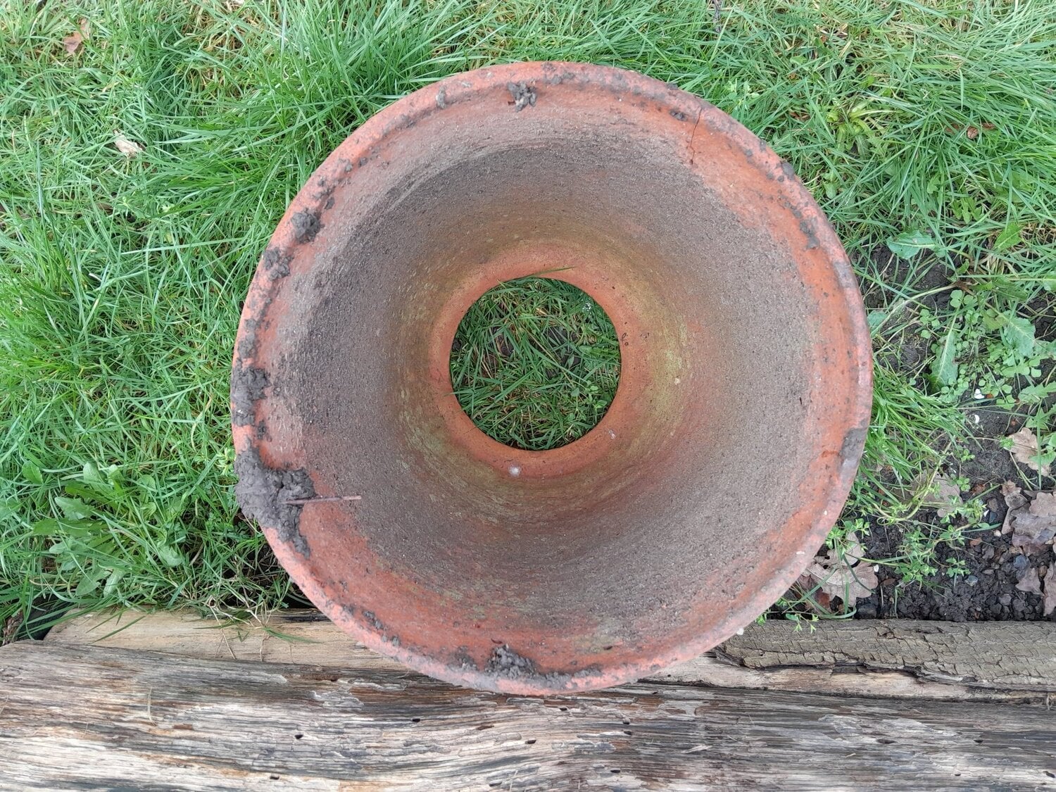 Vintage Rhubarb Kale Forcer Terracotta Planter Cottage Garden - Garden in Uckfield