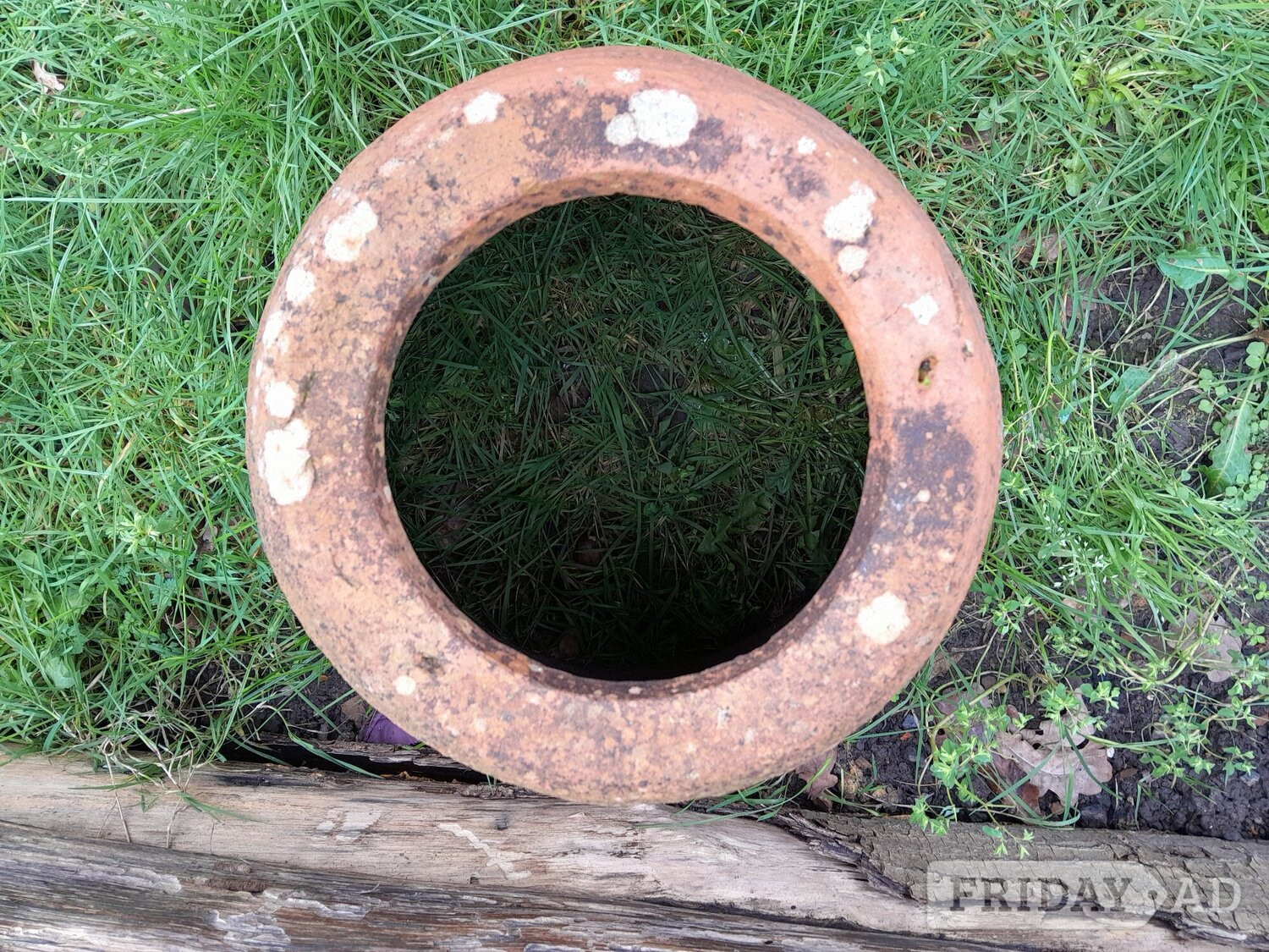Uckfield Vintage Rhubarb Kale Forcer Terracotta Planter Cottage Garden