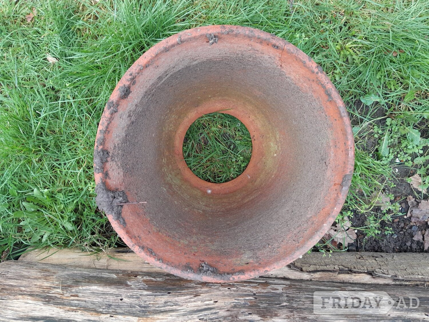 Vintage Rhubarb Kale Forcer Terracotta Planter Cottage Garden - Garden in Uckfield