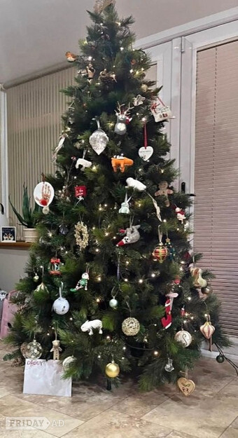 Gorgeous 7ft expensive Black Box Christmas tree for sale