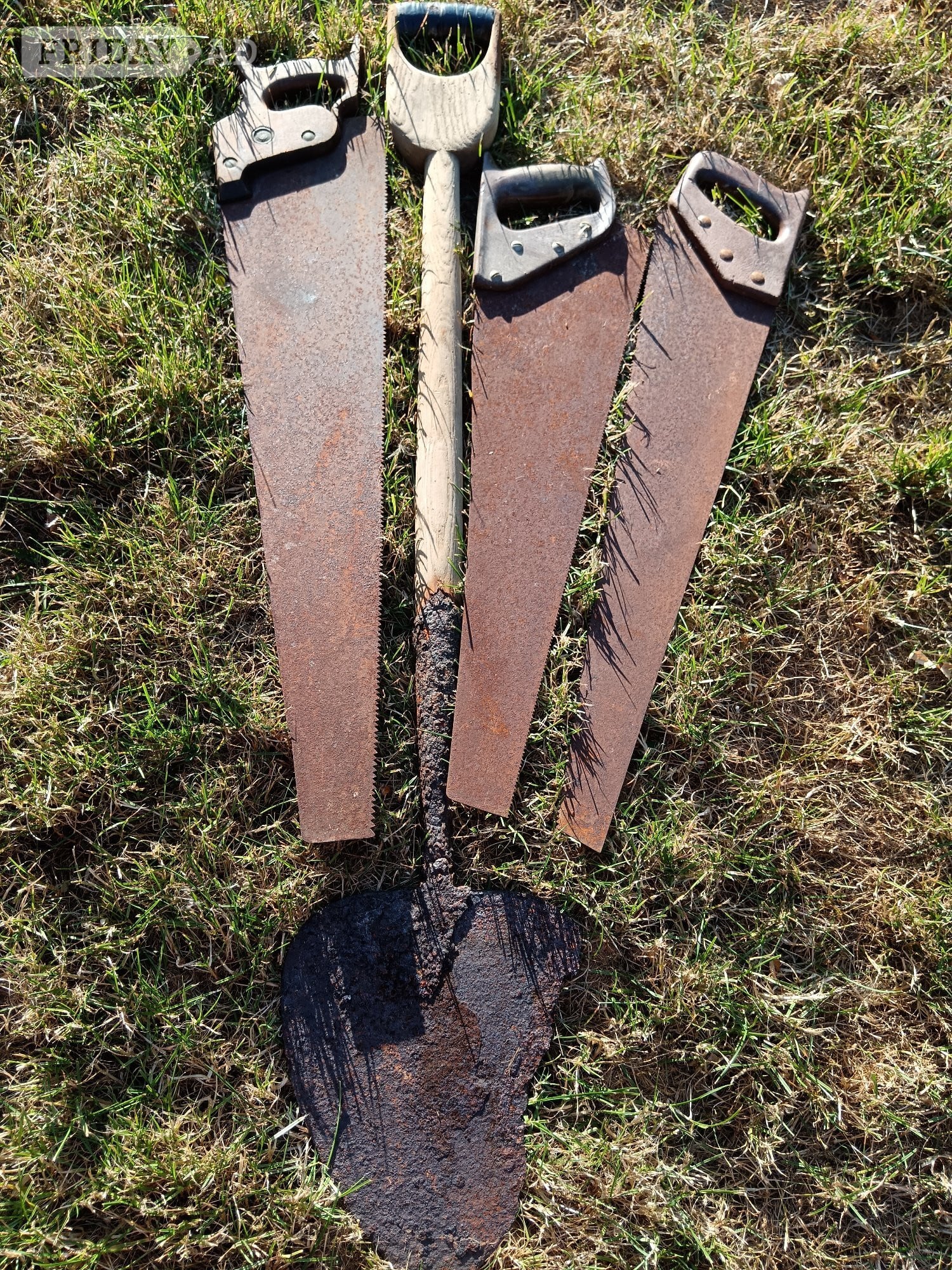 Vintage Spade, Vintage Saws and Butterfly in Heathfield