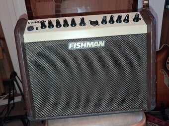 Fishman Loudbox Mini - one channel only