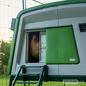 Omlet Eglu Cube and the new Omlet Pro