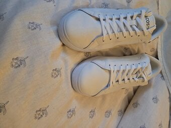 Trainers men's new