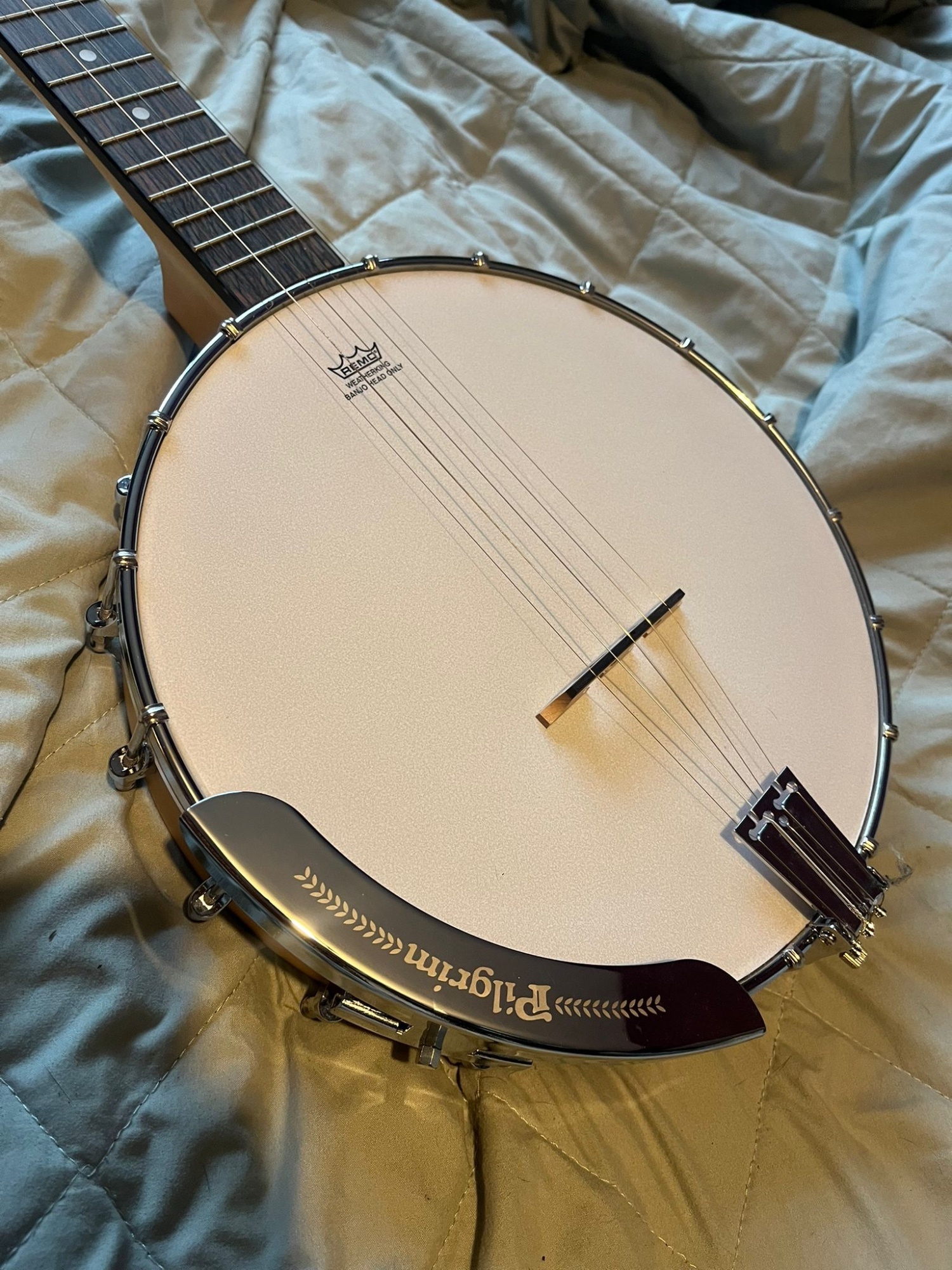 Pilgrim Jubilee02 Open Back 5 String Banjo 