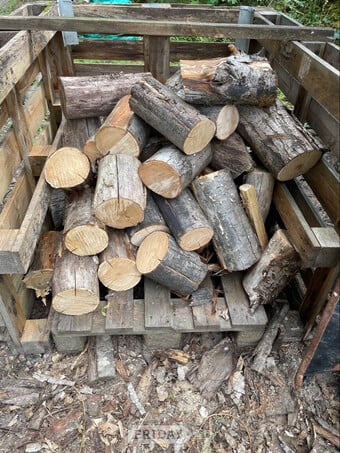 LOGS FOR SALE 