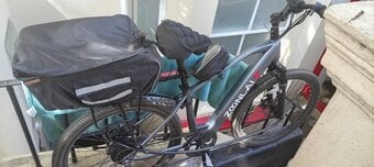 Adult ebike needs attention