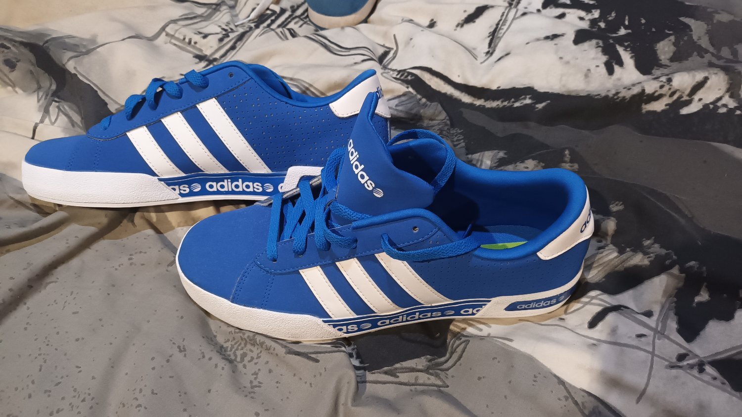 Men's adidas trainers