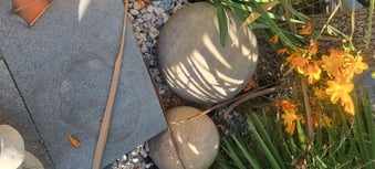 Indian ridge Sandstone Rainbow 