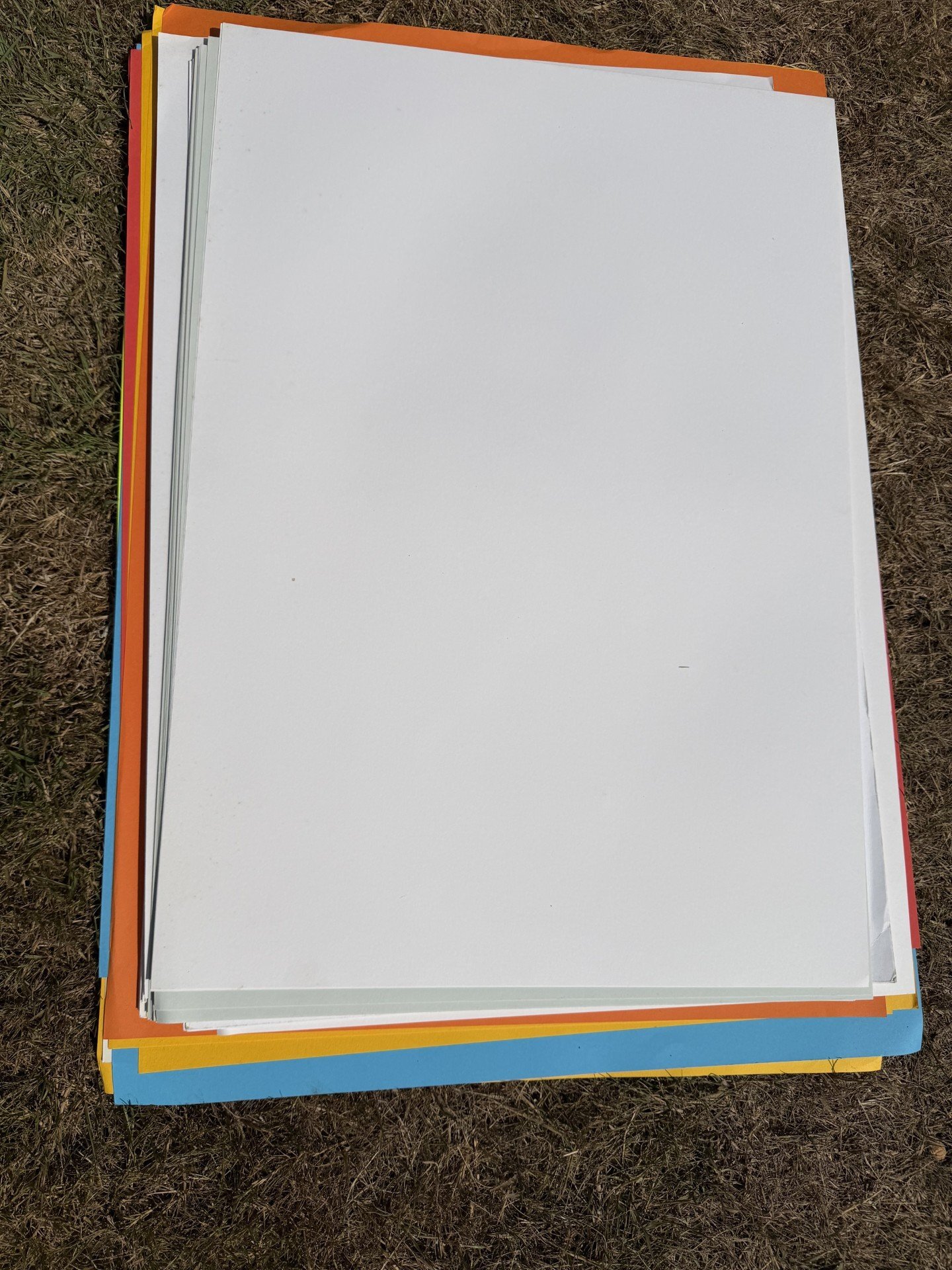 Large card A1 size