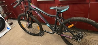 Gents and Ladies Bicycles