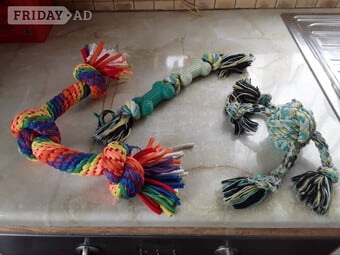 Assortment dog toys.