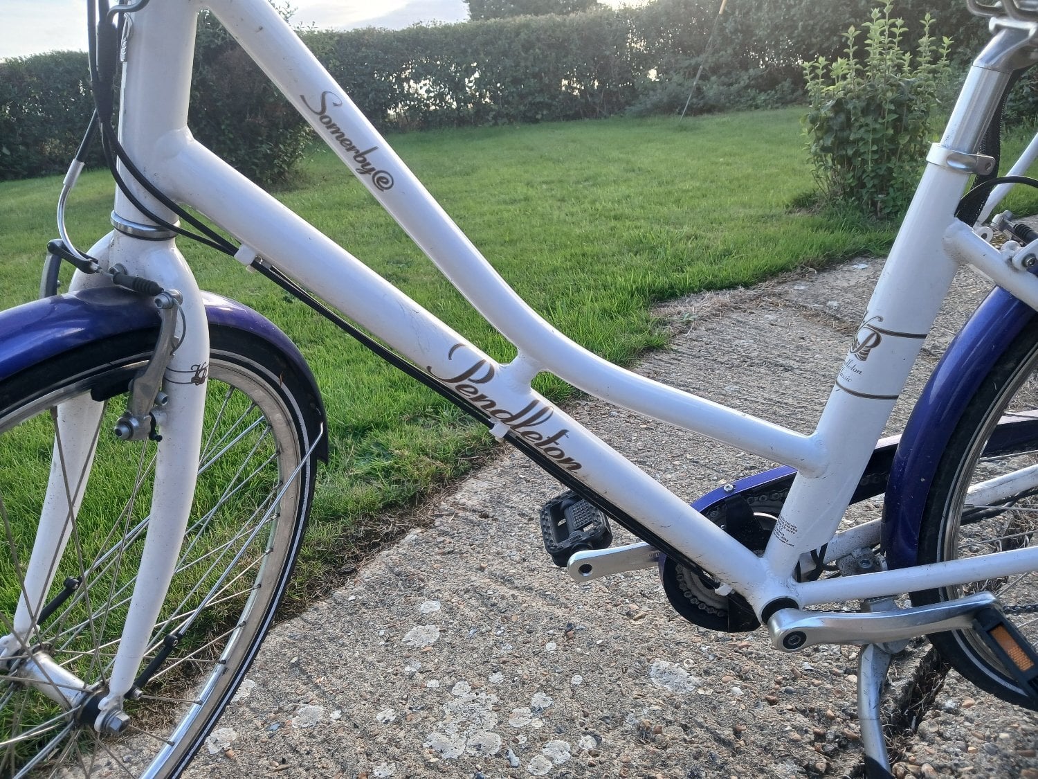 Robertsbridge Victoria Pendleton E-Bike