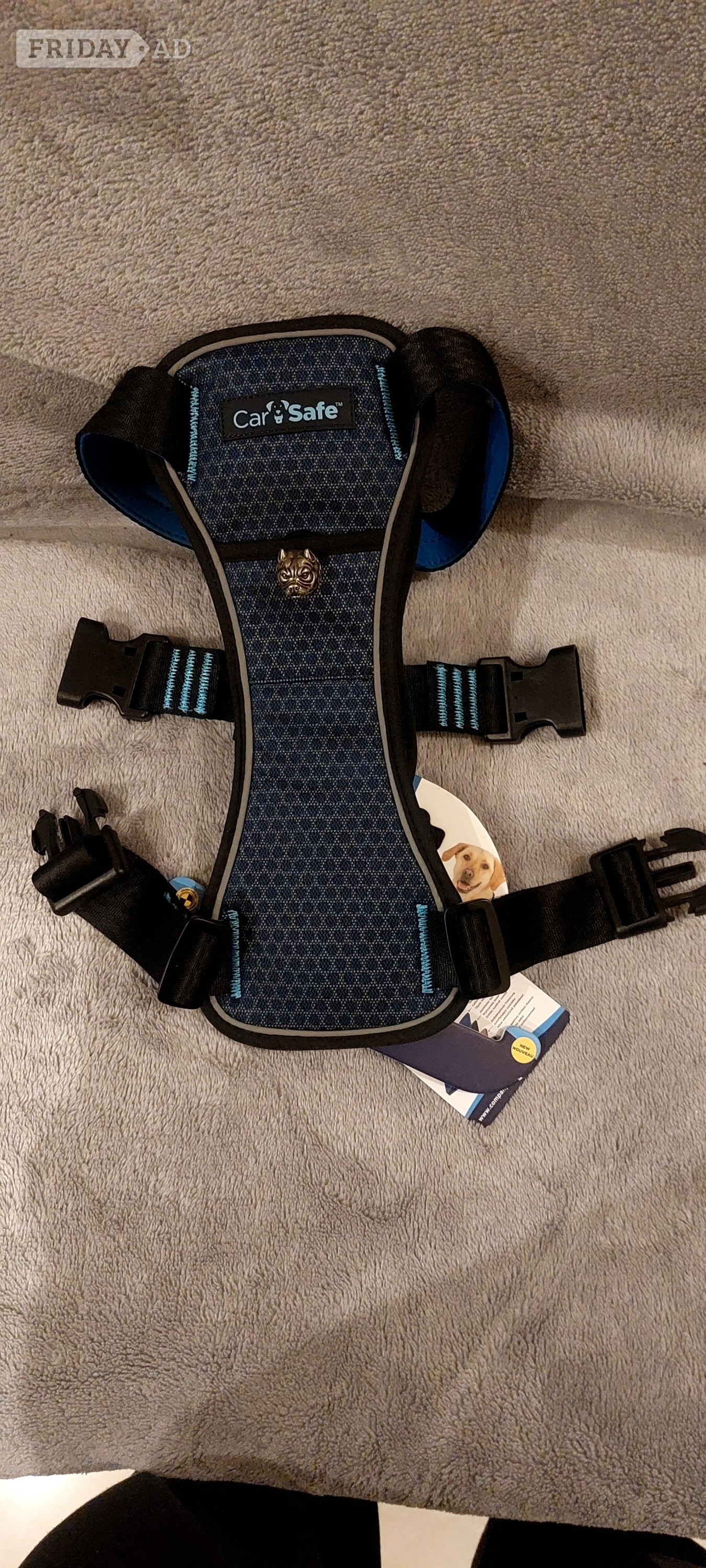 Northampton New personalized, unique harness (size L)