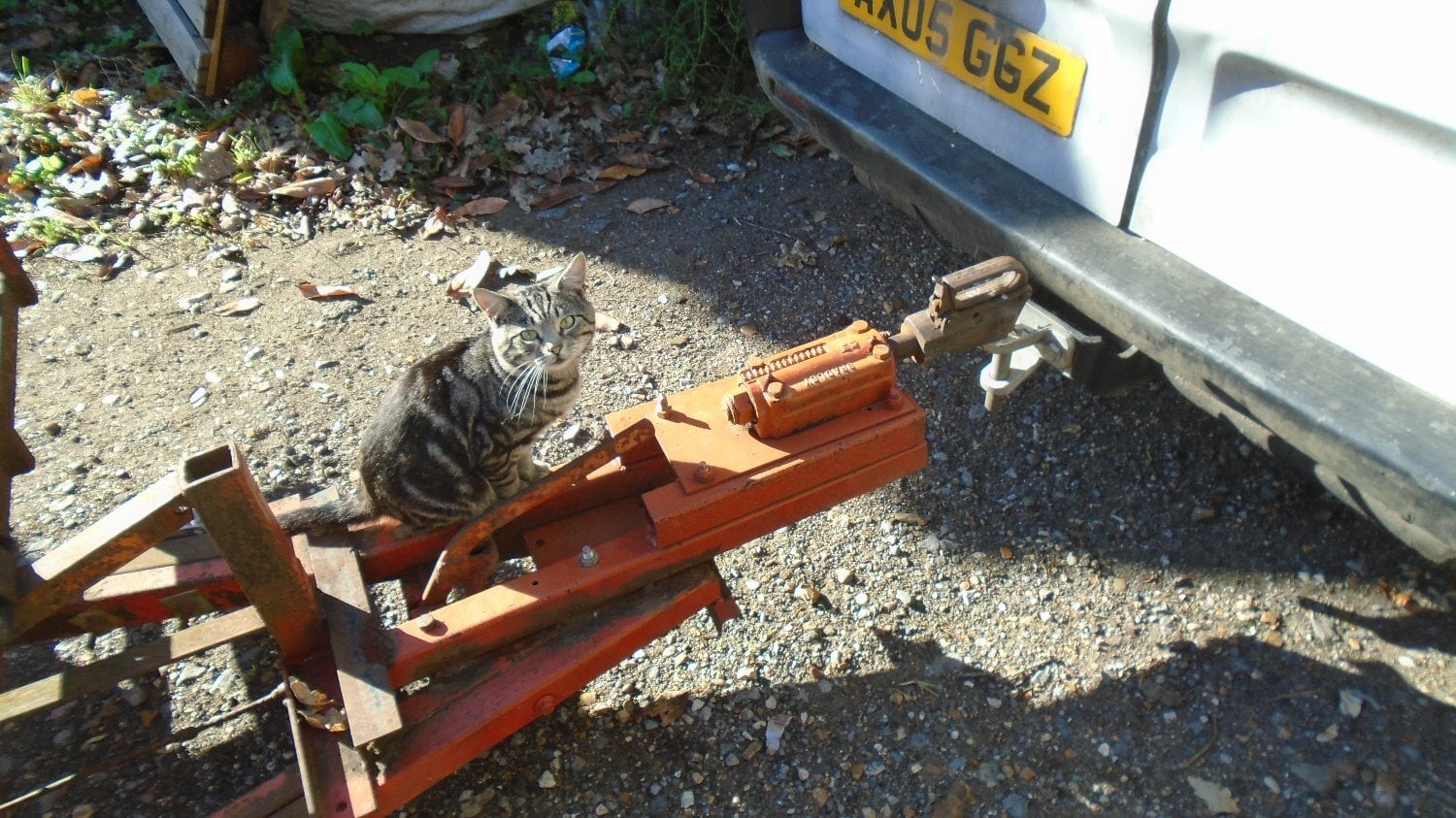 Car Traailer 16 ft bed 6ft wide between wheels With winch - Trailers & Horseboxes in Reading
