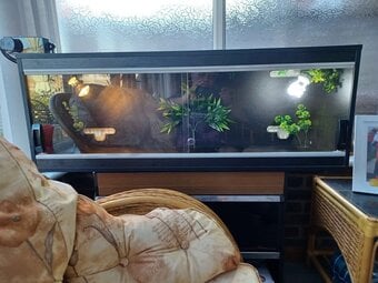 Vivarium LARGE nearly new 4 foot