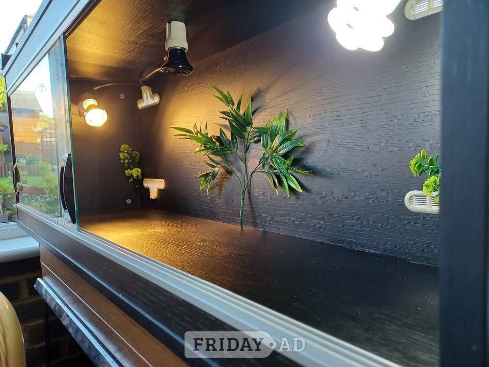 Vivarium LARGE nearly new 4 foot