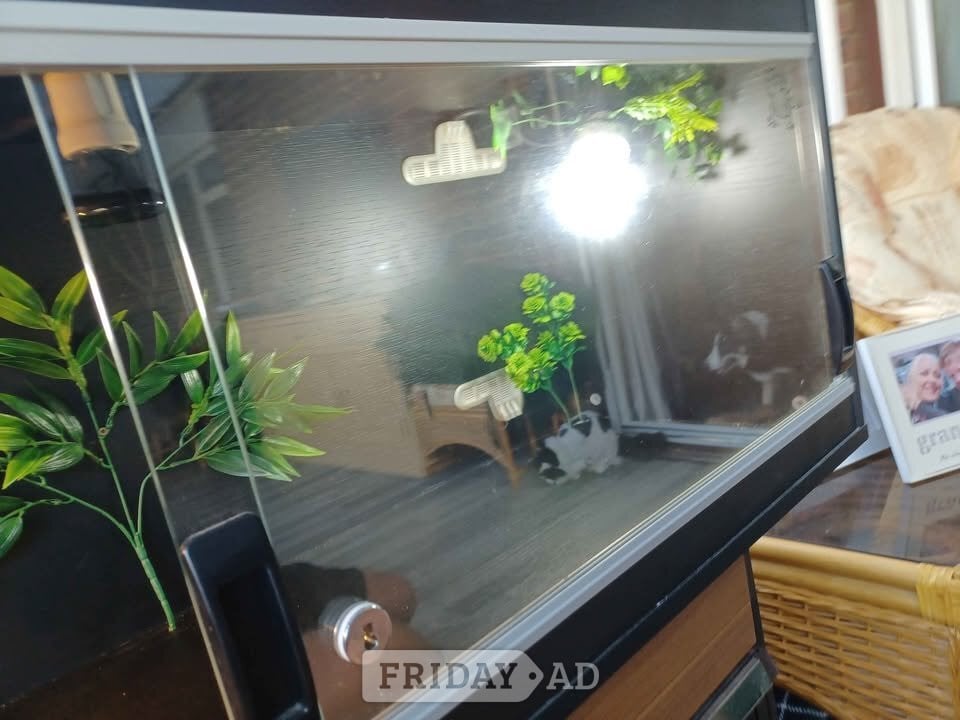 Gillingham Vivarium LARGE nearly new 4 foot