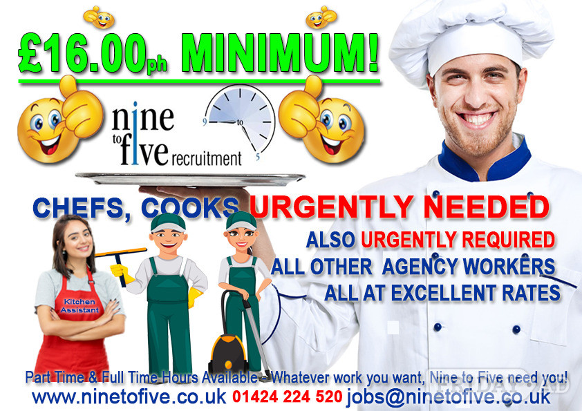 CHEFS / COOKS URGENTLY WANTED! in Eastbourne