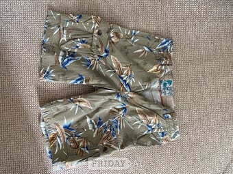 Mantaray Shorts unisex