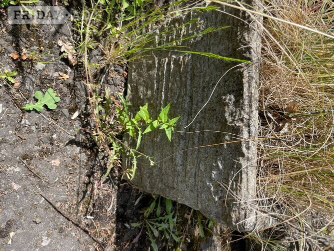 ANTIQUE SQUARE PLANTER in East Grinstead
