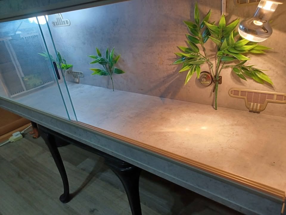Vivarium 4 foot light grey with electrics - Pet Accessories & Supplies in Gillingham