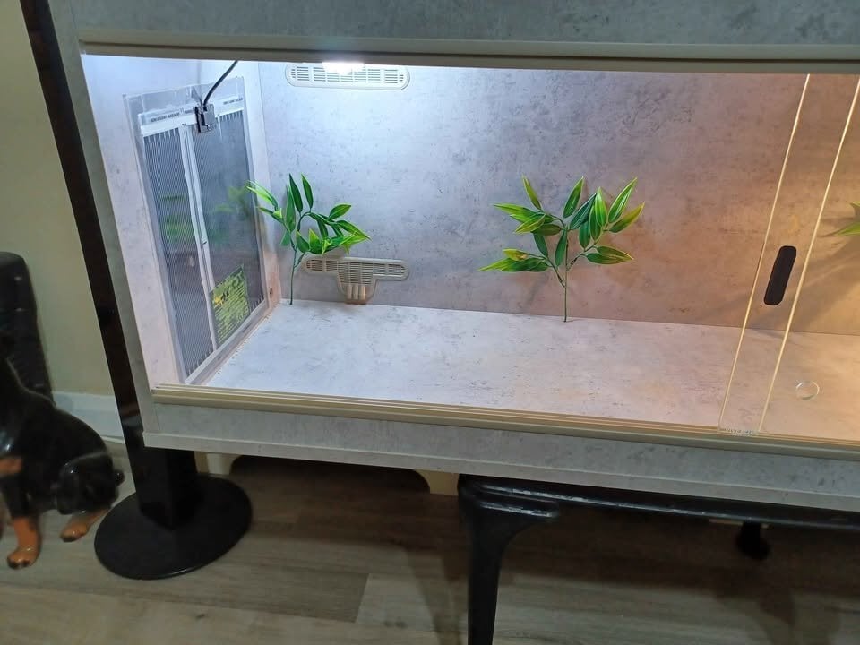 Vivarium 4 foot light grey with electrics - Pet Accessories & Supplies