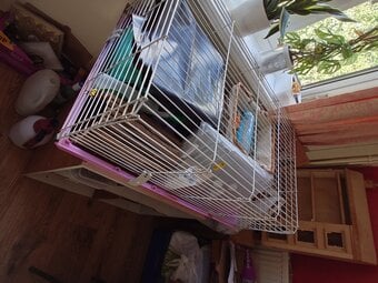 Guinea pig cage large 