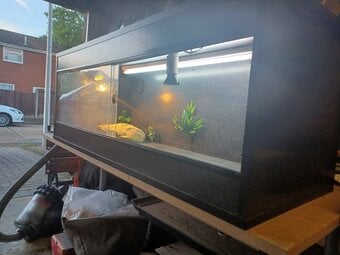 Vivarium LARGE with electrics