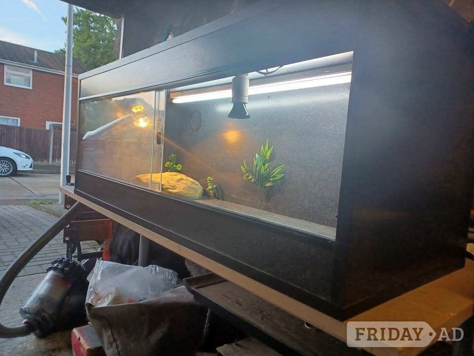 Vivarium LARGE with electrics in Gillingham
