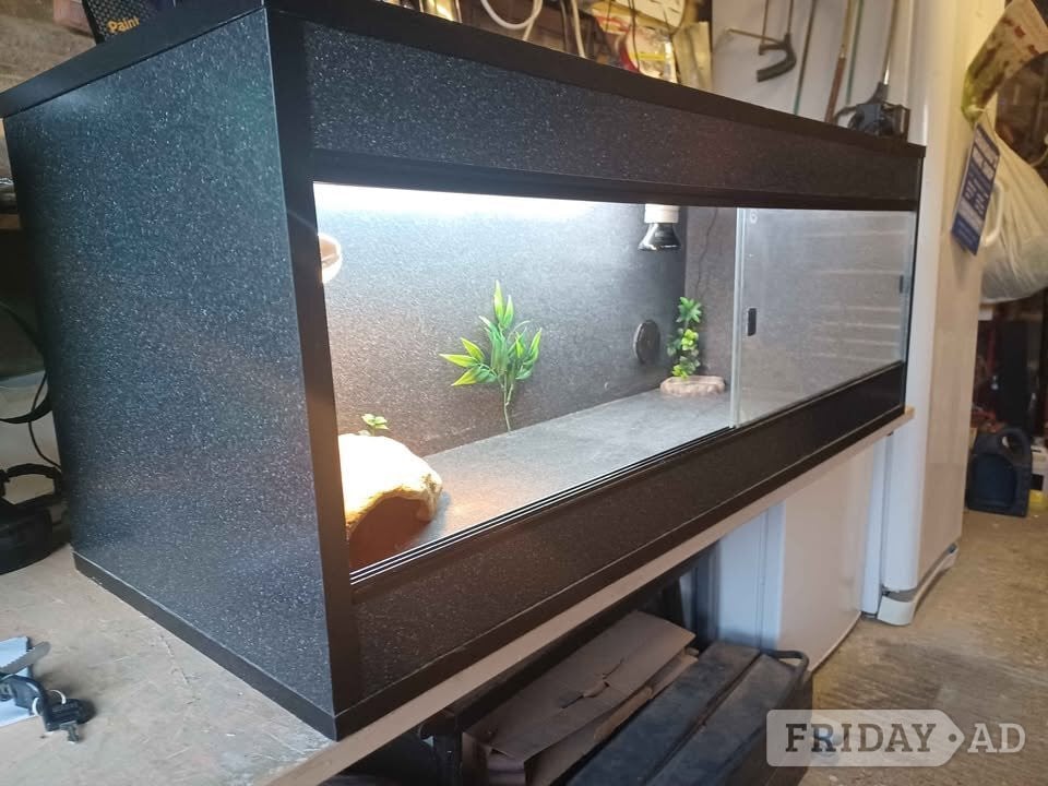 Vivarium LARGE with electrics