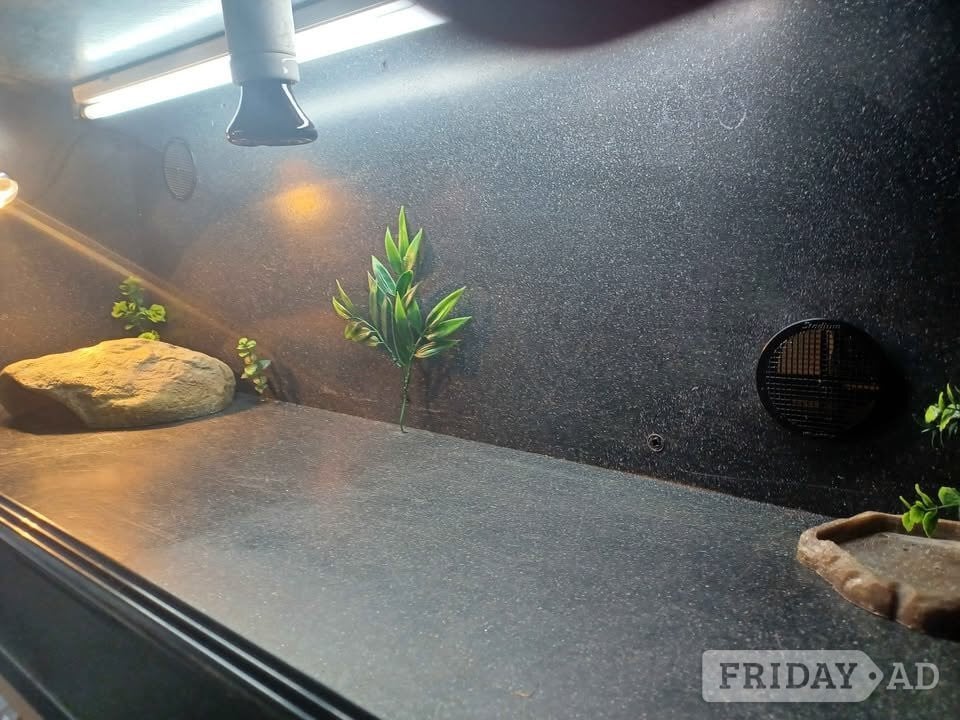 Vivarium LARGE with electrics - Pet Accessories & Supplies in Gillingham