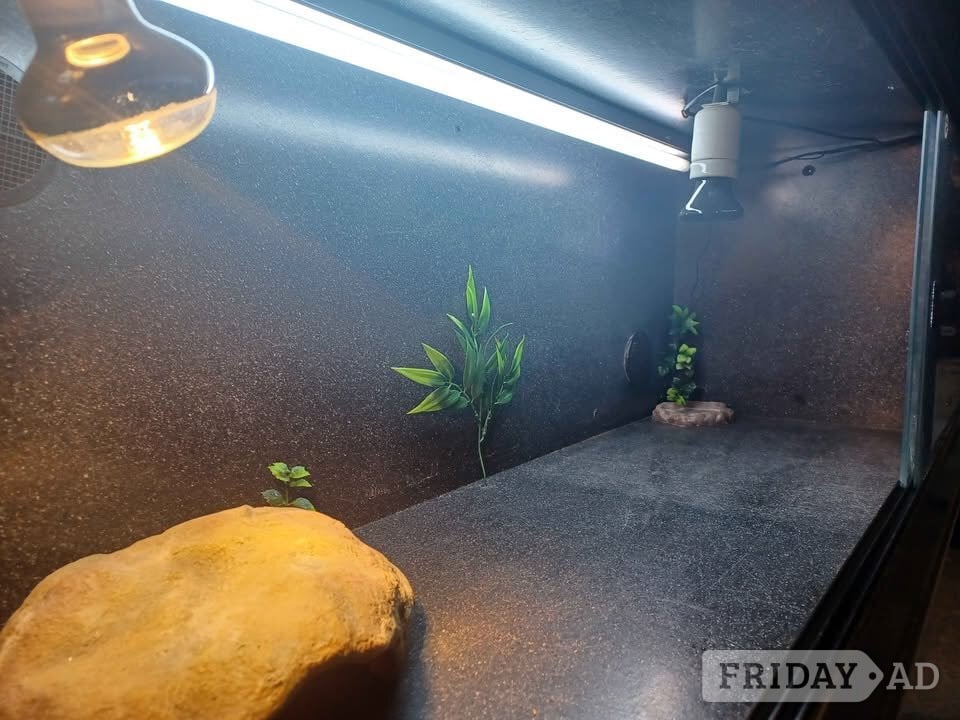 Vivarium LARGE with electrics - Pet Accessories & Supplies