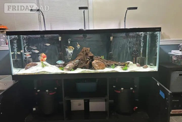 This Juwel Vision 450 LED aquarium and cabinet set is a complete 